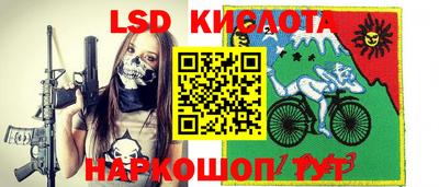 прущие грибы Краснознаменск
