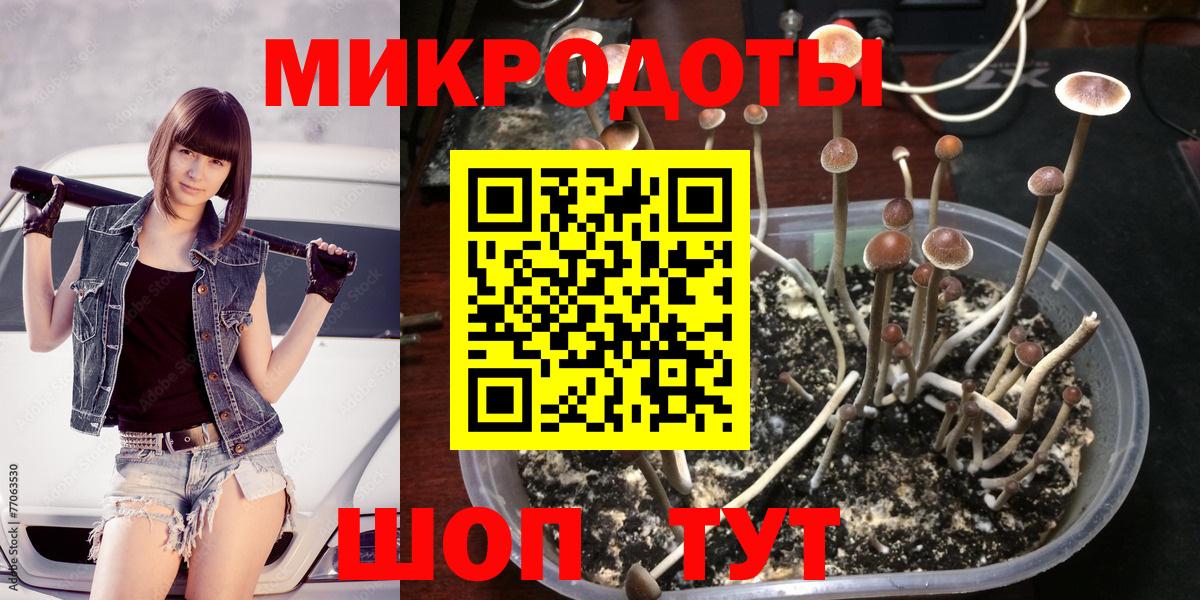 Псилоцибиновые грибы GOLDEN TEACHER  Псилоцибиновые грибы Psilocybine cubensis  Сафоново  Вход с VPN 