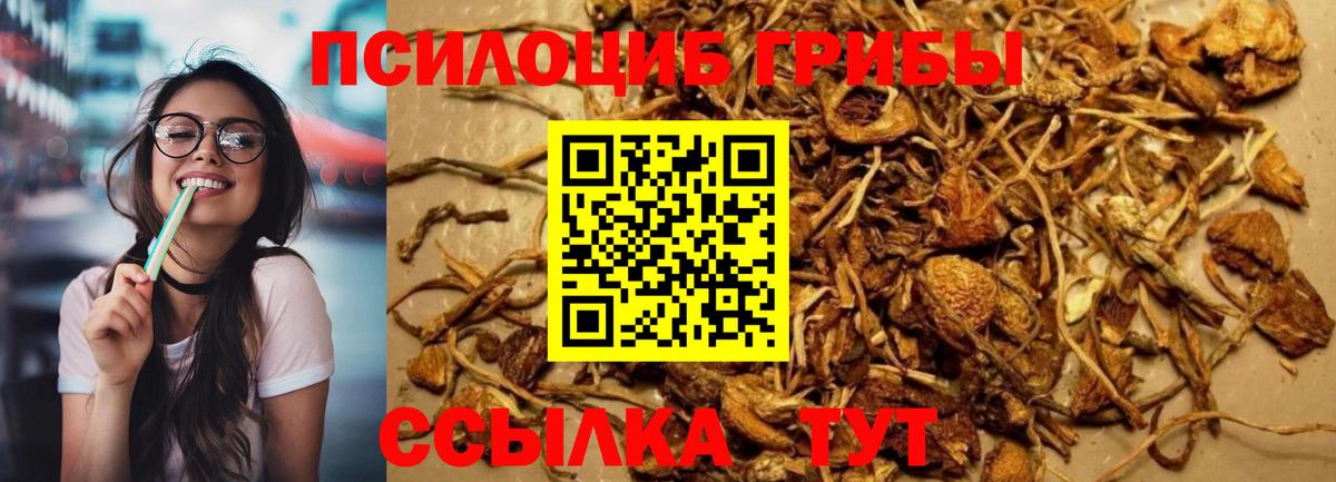 Галлюциногенные грибы GOLDEN TEACHER Сафоново